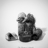 dailyPhoto18